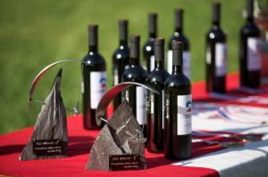 013_5598_Pokale f.Rangverkündigung_SM_SwissOpen_Meiringen_bydavidbirri